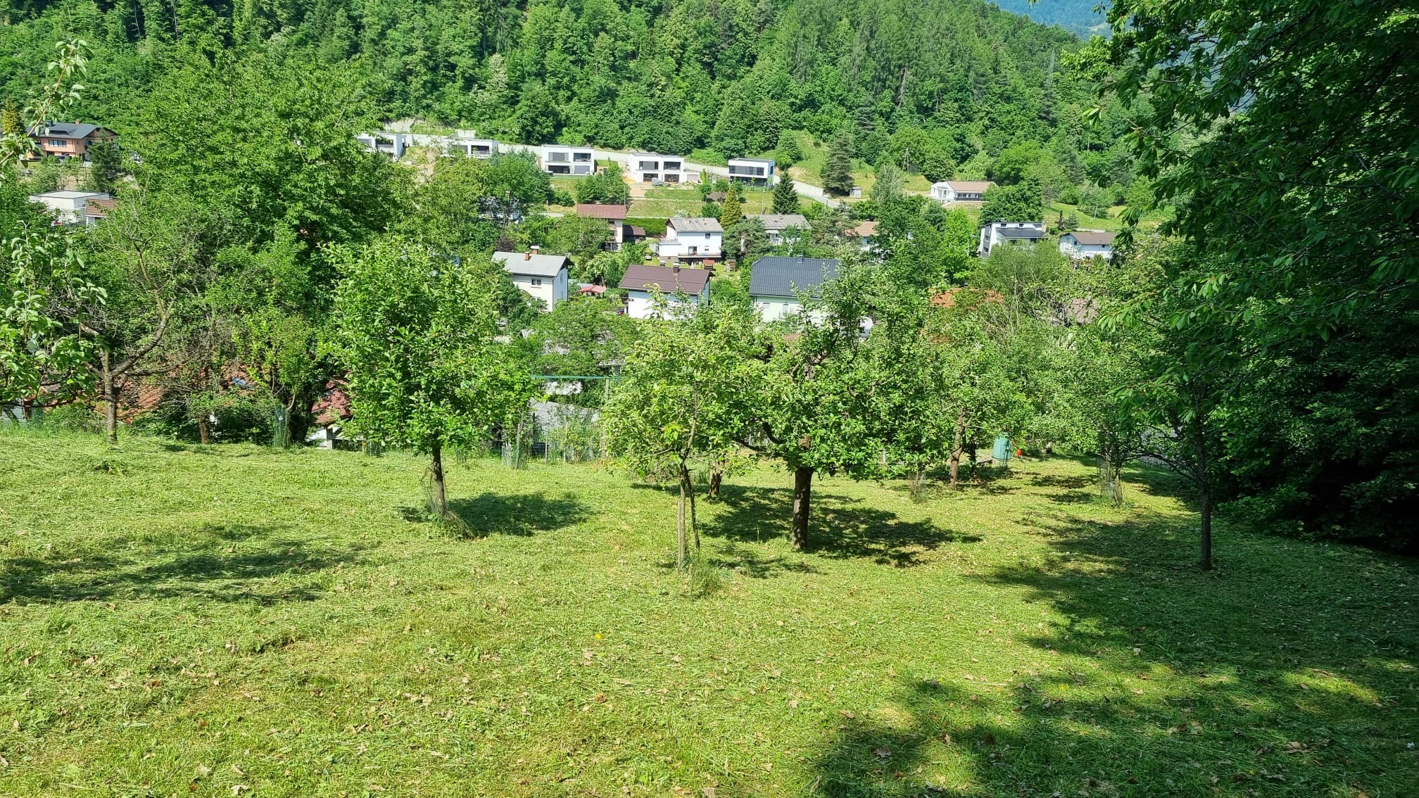 Urejanje okolice kosnja travnatih površin 2